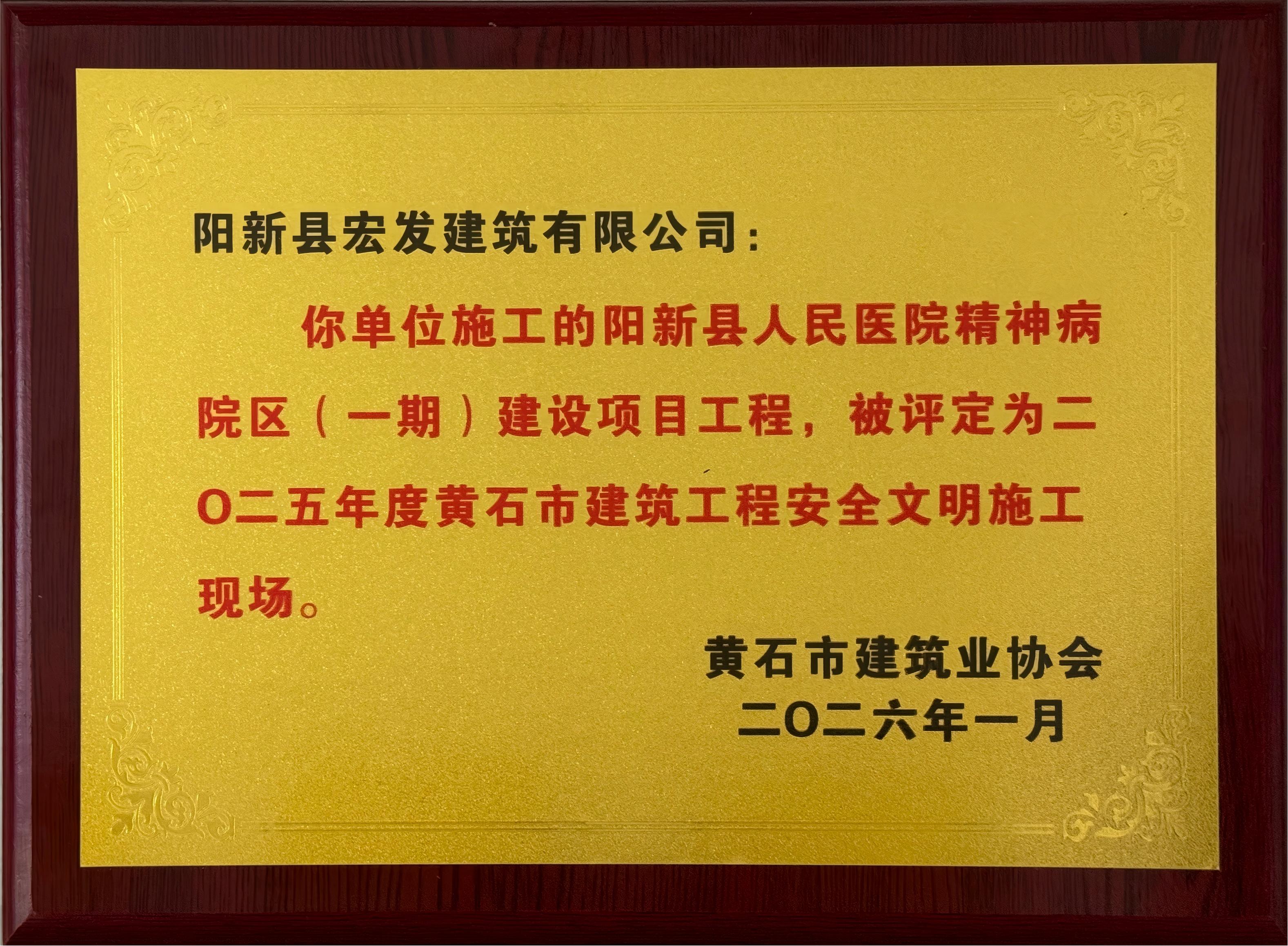 2025市建筑工程安全文明施工现场（精神病院一期）